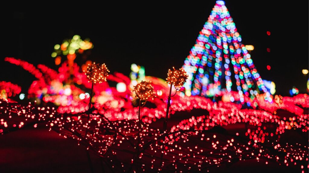 2022 Christmas Tree Lighting Ceremony – Starbright Village