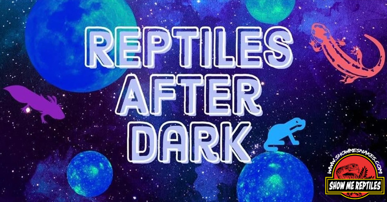 Odessa Reptiles After Dark Show Me Reptile Show on September 30, 2023